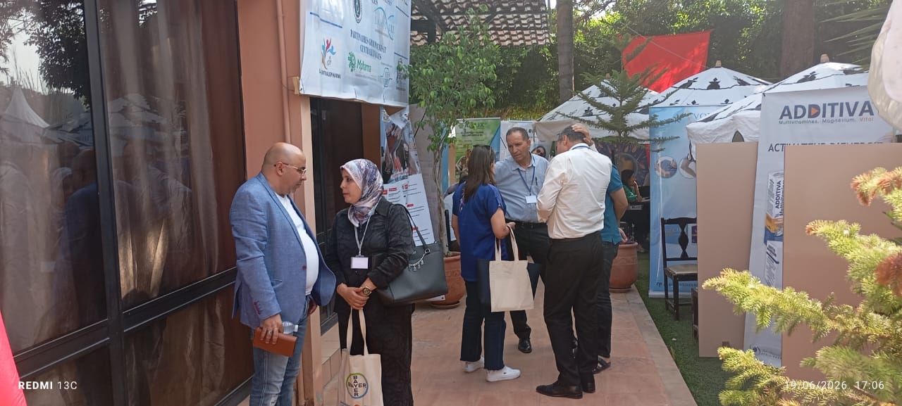 مؤتمر مؤتمر