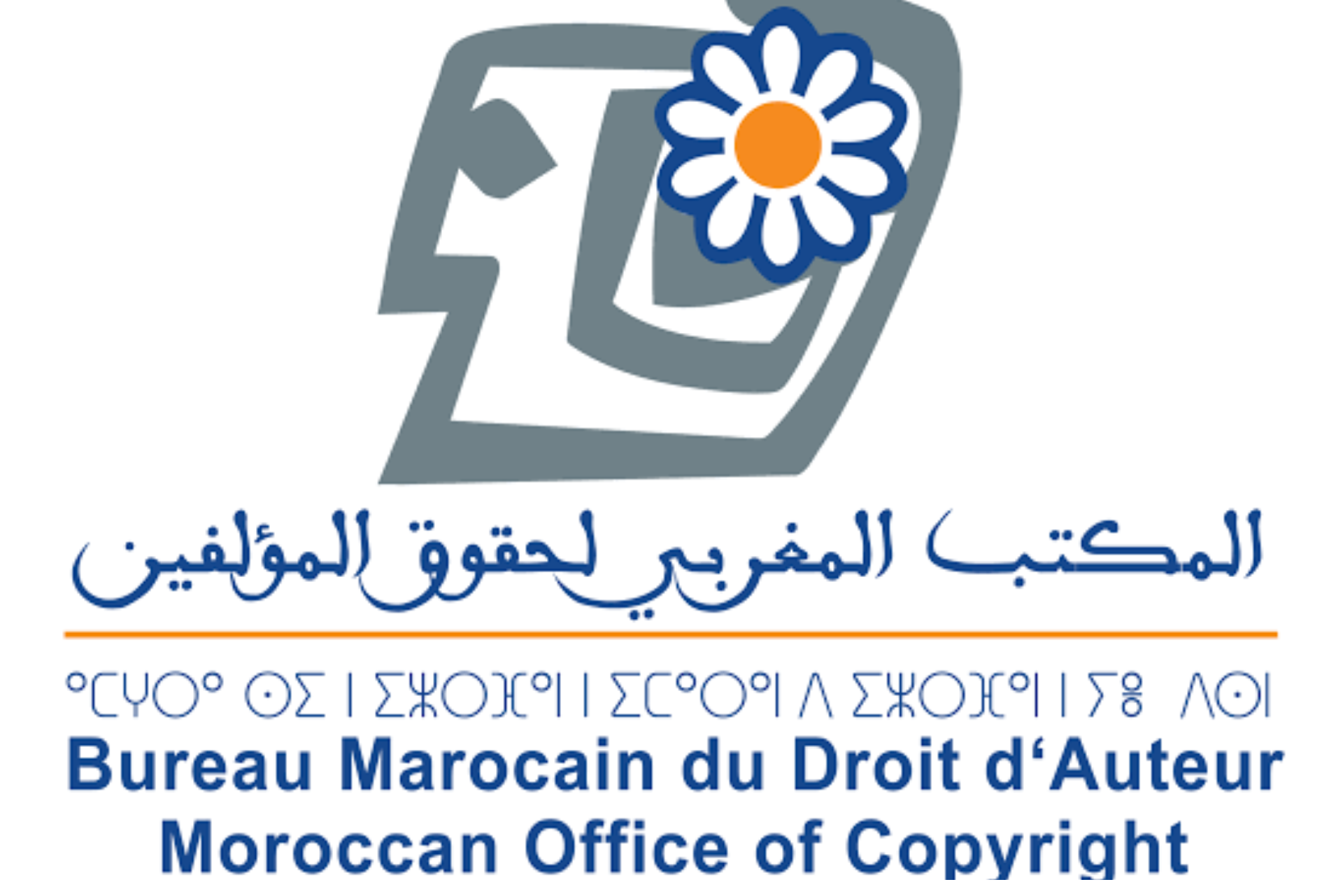 إطلاق البوابة الإلكترونية الخاصة بانخراط الصحفيين في مجال الصحافة الورقية وناشري الصحف والمعنيين بمستحقات النسخ التصويري ابتداء من فاتح غشت