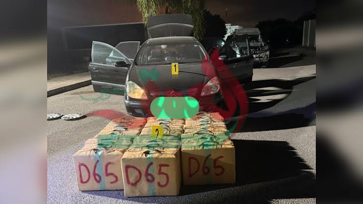 حجز نحو 400 كيلوغرام من المخدرات على الطريق الجهوية 509.. باكاون نواحي الحسيمة والأبحاث متواصلة بإشراف النيابة العامة حجز نحو 400 كيلوغرام من المخدرات على الطريق الجهوية 509.. باكاون نواحي الحسيمة والأبحاث متواصلة بإشراف النيابة العامة