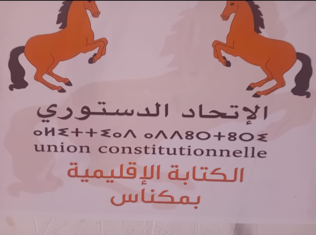 الشبيبة الدستورية بمكناس تعزز الحوار السياسي والتنظيمي في لقاء تواصلي مع قيادة الحزب بالجماعة